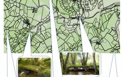 Recensement des ponts planches de la commune